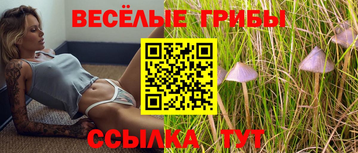 Псилоцибиновые грибы Psilocybe Усолье-Сибирское