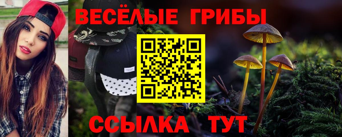 Галлюциногенные грибы Magic Shrooms  Галлюциногенные грибы ЛСД  Усолье-Сибирское  Вход с VPN 